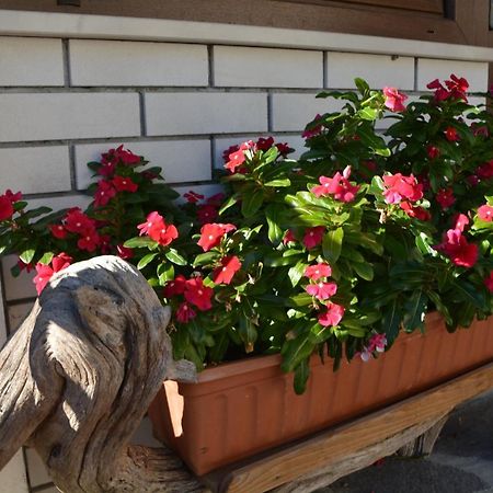 Apartma Zala Most na Soči Kültér fotó