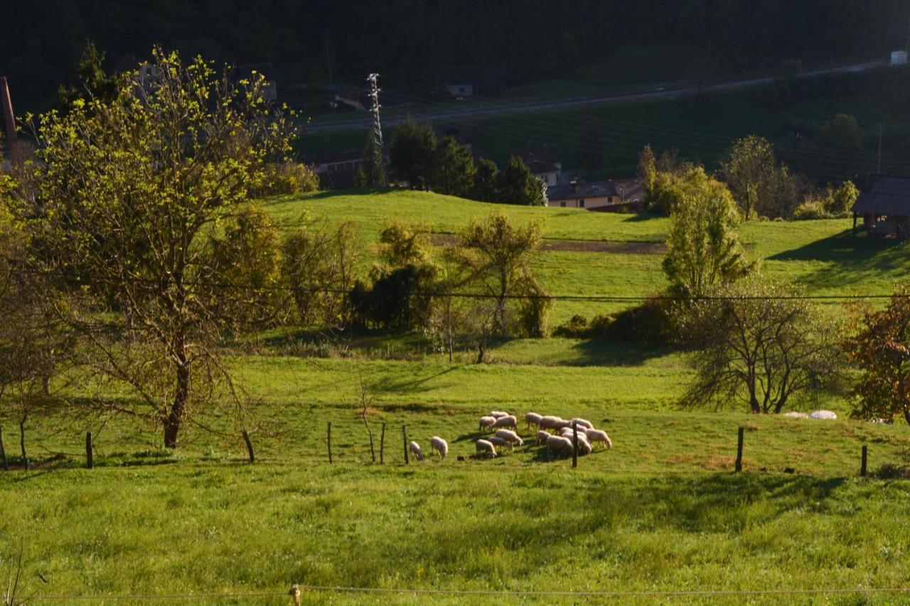 Apartma Zala Most na Soči Kültér fotó
