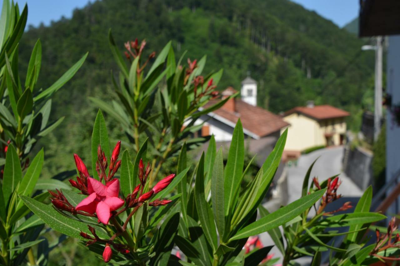 Apartma Zala Most na Soči Kültér fotó
